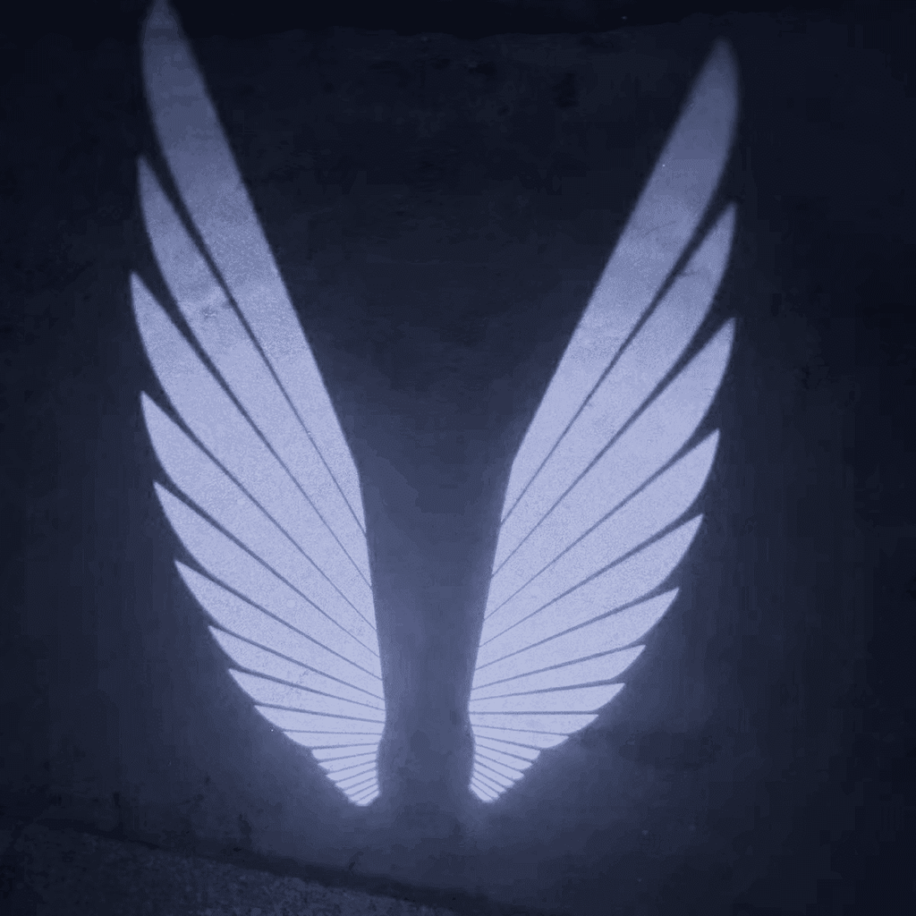 Angel Wings Puddle Lights Universal